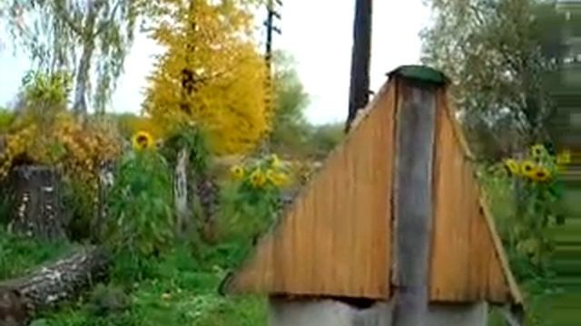 Арти и подсолнухи смотреть онлайн