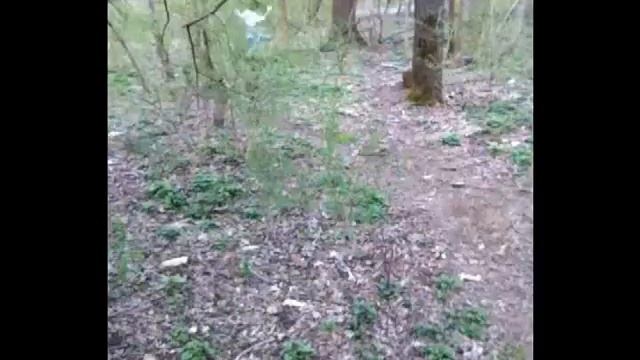 Wheres waldo?? смотреть онлайн