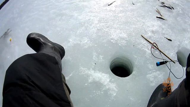 Четыре дня рыбалки на Яузском водохранилище, в конце марта 2022. смотреть онлайн