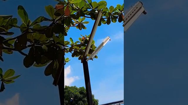 tampak dua tangkai lampu TL tube lamp atau lampu neon lampu agak jaman dulu??‼️‼️? смотреть онлайн