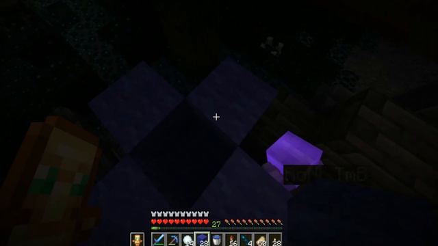 Нашел ВАРДЕНА на своем приватном сервере МАЙНКРАФТ!В первые на 1.19! смотреть онлайн