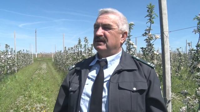 Установки феромонных ловушек в весеннем саду смотреть онлайн