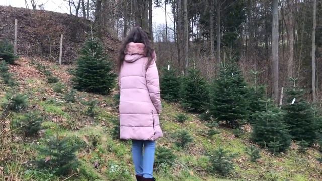 🌲🎄В ЛЕСУ РОДИЛАСЬ ЁЛОЧКА🎄🌲 смотреть онлайн