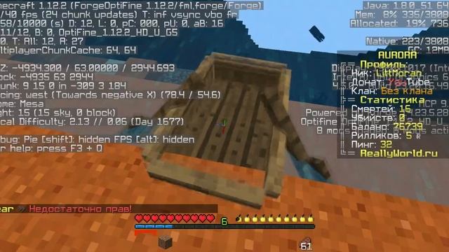 СКОЛЬКО ЖЕЛЕЗА, ЗОЛОТА И АЛМАЗОВ МОЖНО НАЙТИ В ОДНОМ ЧАНКЕ В МАЙНКРАФТ? АНАРХИЯ REALLYWORLD смотреть онлайн