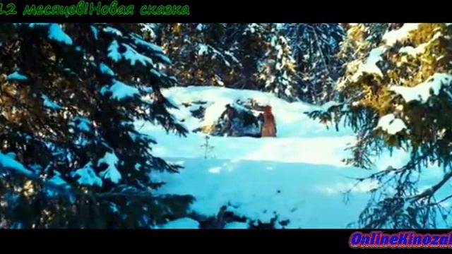12 месяцев!Новая сказка