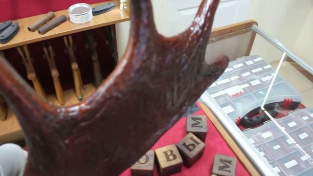 Лосиные рога из Лосиного края от СТК СТРЕЛА и Prikladov.Ru смотреть онлайн