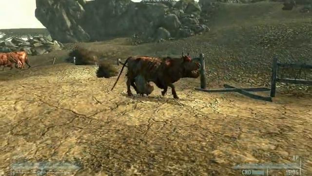 Fallout 3 - Cow Tipping смотреть онлайн