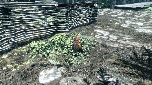 Skyrim Creation Kit: Torture Nude Children смотреть онлайн