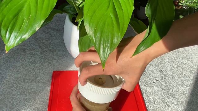 Органические удобрения /Organic Fertilizers