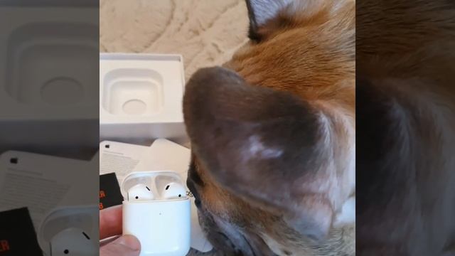AirPods 2 Лучшая версия смотреть онлайн