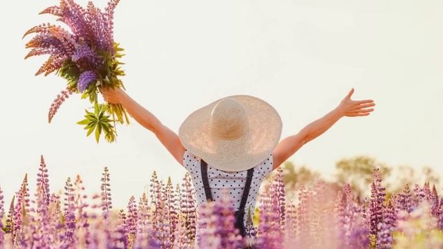 Я желаю счастья вам смотреть онлайн