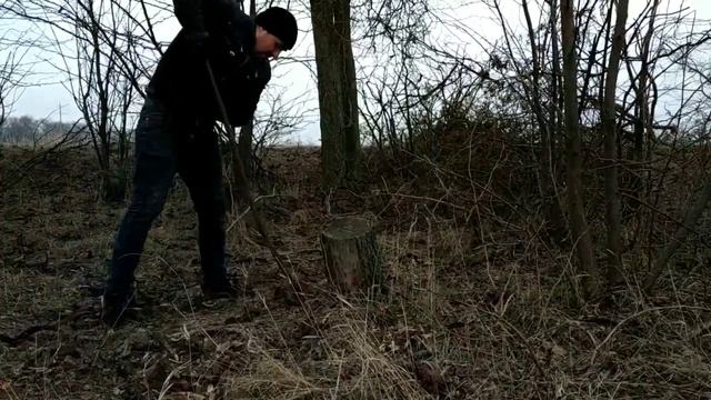 ЗАГОТОВКА СУХИХ ДРОВ! КОРЧЕВАНИЕ ПНЕЙ! смотреть онлайн