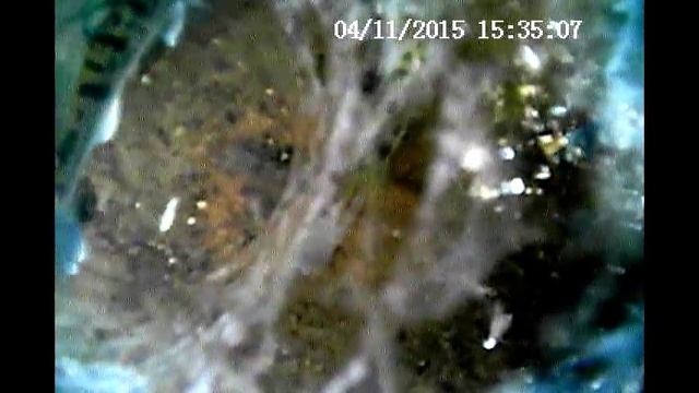 Зимняя рыбалка. Видео съемка подо льдом. Р. Обь. Новосибирск. Окунь, налим, судак, язь,лещ.2015. смотреть онлайн