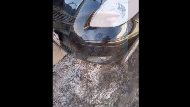 Артём Потапов