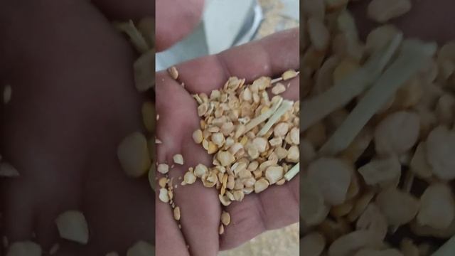 chana calining unit смотреть онлайн