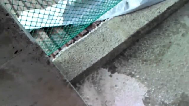 Капитан в шоке.Укус богомола. смотреть онлайн