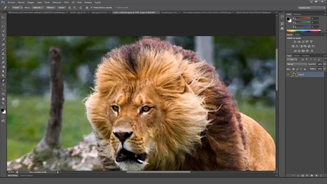 Animal's Attack | Balaguer3D Contest Entry 2 | (#Photoshop cs6) смотреть онлайн