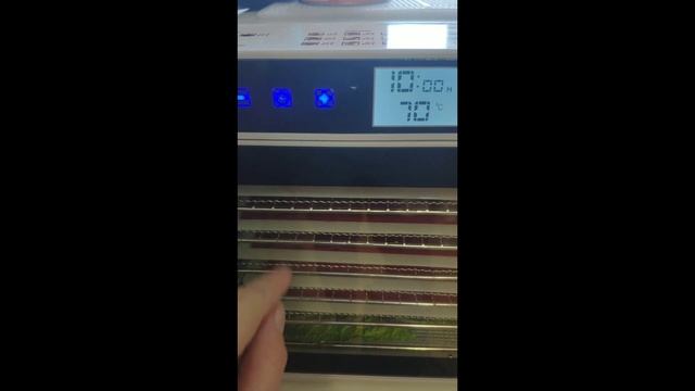 Искусство Гастрономии