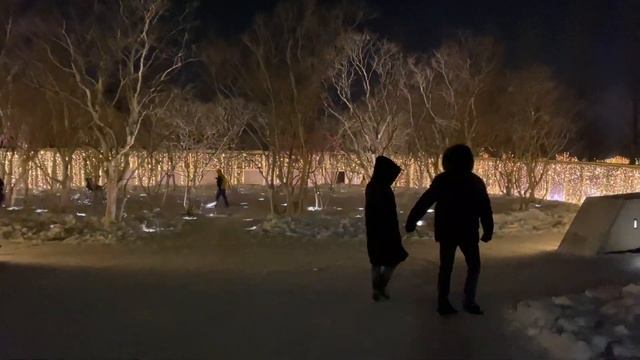 Парк Галицкого в Краснодаре Зимняя Сказка 2021 смотреть онлайн