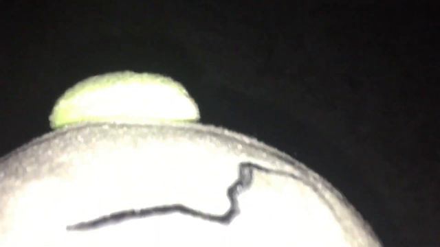 Snow Angry Birds Plush смотреть онлайн