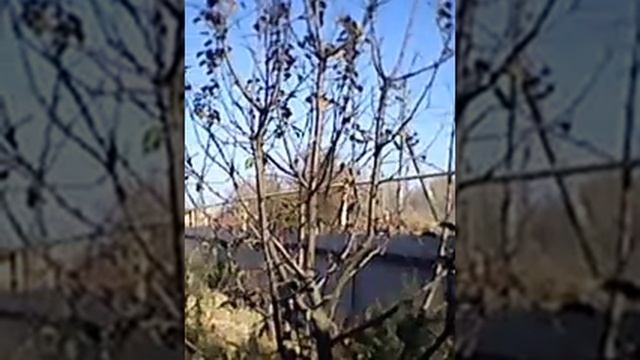выставка ландшафтного дизайна смотреть онлайн