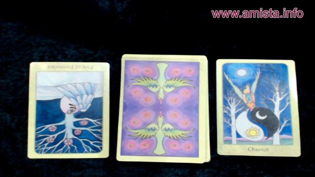 January 15, Budget Loosening Up? Or R U Being More Included Socially Today? ~ Amista Bennett Tarot смотреть онлайн