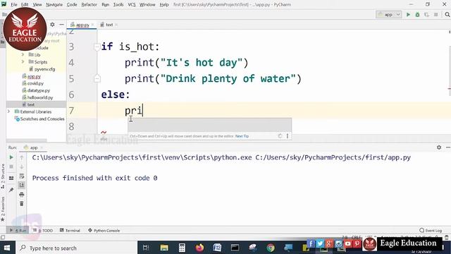 If Elif and Else Statements in Python| Eagle Education смотреть онлайн