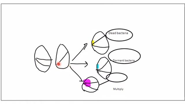 Respiratory system L-5 -TUBERCULOSIS смотреть онлайн