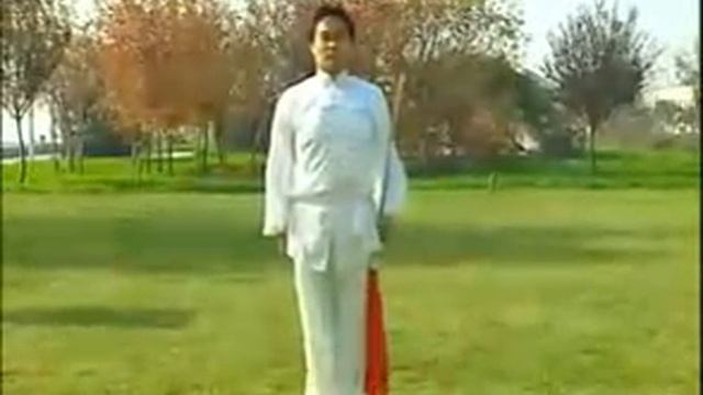 Даошу (Базовая форма).flv смотреть онлайн