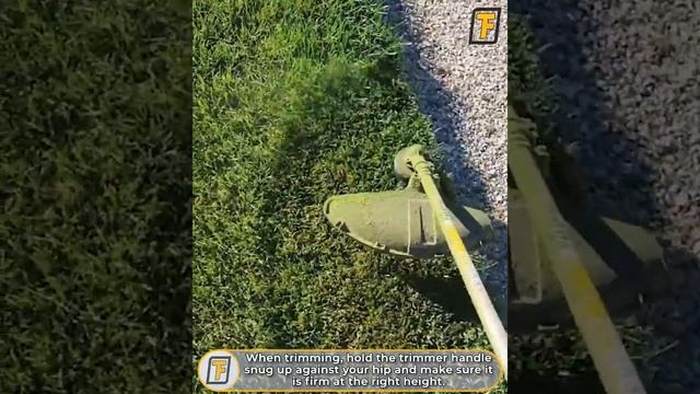 ⚡ OVERGROWN Hedges Are Cut Like CHEESE - Satisfying Hedge Trimming , Lawn Care & Grass Cutting смотреть онлайн