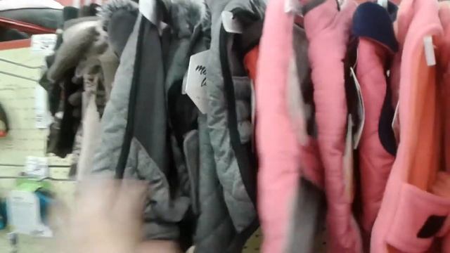 020-Животные Америки смотреть онлайн