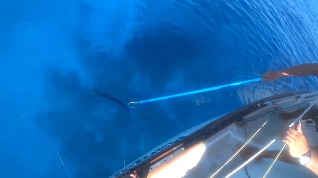 Рыбалка в Карибском море | Путешествие на Парусной Яхте | Яхтинг на Карибах смотреть онлайн