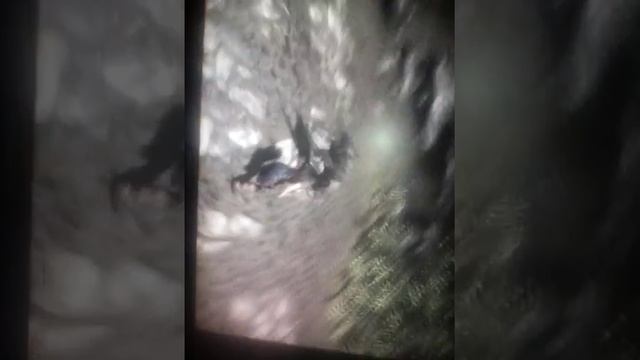 Skyrim. Летающий волчок. смотреть онлайн