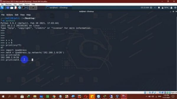 IP address python Linux