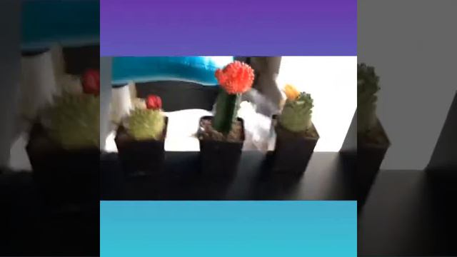 Room tour/Моя комната в Америке смотреть онлайн