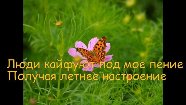 Клип-Стих - "Лето-Солнце" смотреть онлайн
