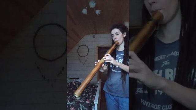 Флейта "Полинезия" смотреть онлайн