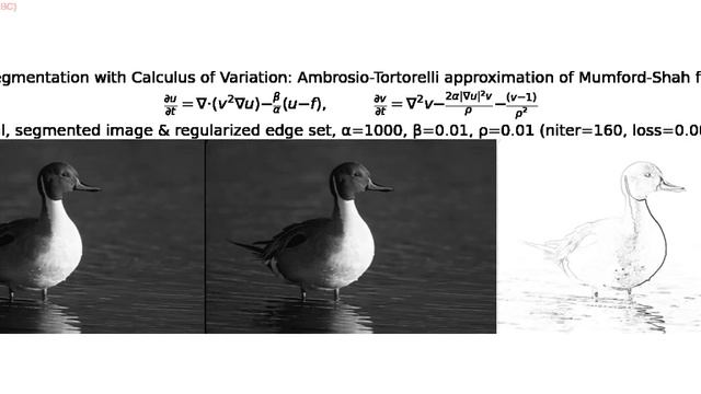 Image Segmentation | Mumford-Shah | Calculus of Variations | Ambrosio-Tortorelli Approx | python смотреть онлайн