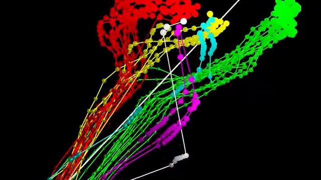 on-line t-SNE applied to developing song of zebra finch смотреть онлайн
