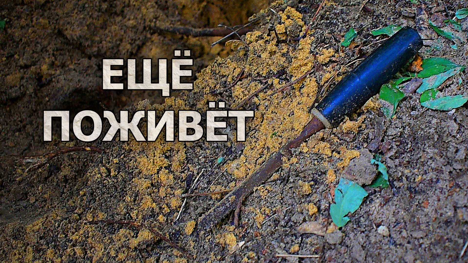 ОТКОПАЛИ РЖАВЫЙ ИНСТРУМЕНТ времен СССР / РЕСТАВРАЦИЯ / Вторая жизнь столярного инструмента смотреть онлайн