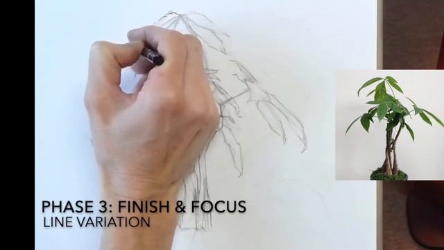 The 3 phases of the drawing process смотреть онлайн