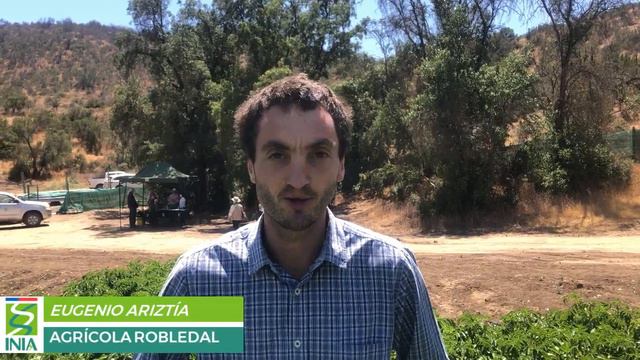 Experiencia escalamiento piloto comercial papa de pulpa de color para colorantes y antioxidantes (2 смотреть онлайн