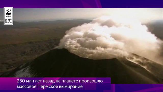 Природа на связи. Выпуск № 2. Апрель 2019 смотреть онлайн