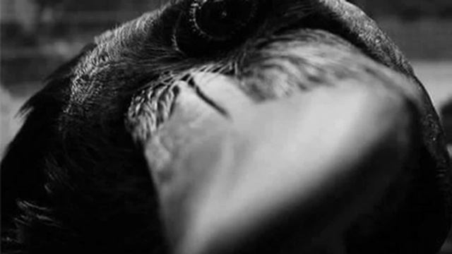 Dimmu Borgir - under korpens vinger - Instrumental cover - by ynfernus - смотреть онлайн