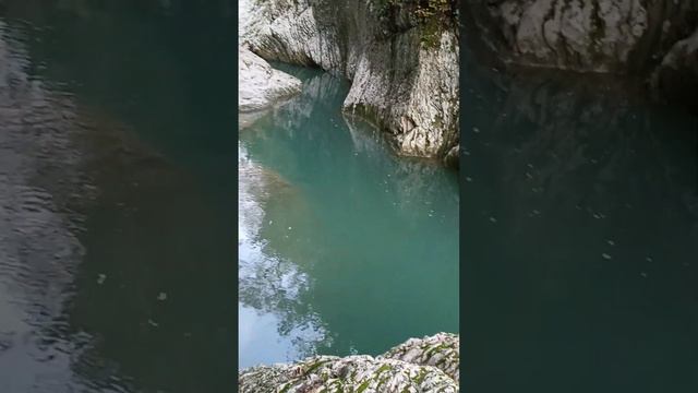 #сочи #горы #ущелье #природа #птицы #красота смотреть онлайн