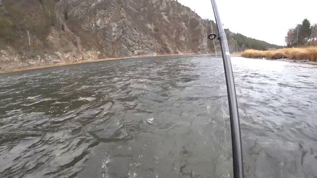 Нашли яму полную рыбы! Ловим и жарим хариуса смотреть онлайн