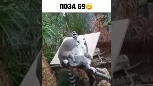 Поза 69 смотреть онлайн
