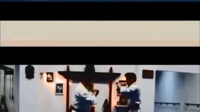 Ashihara Karate Techniques 1 смотреть онлайн