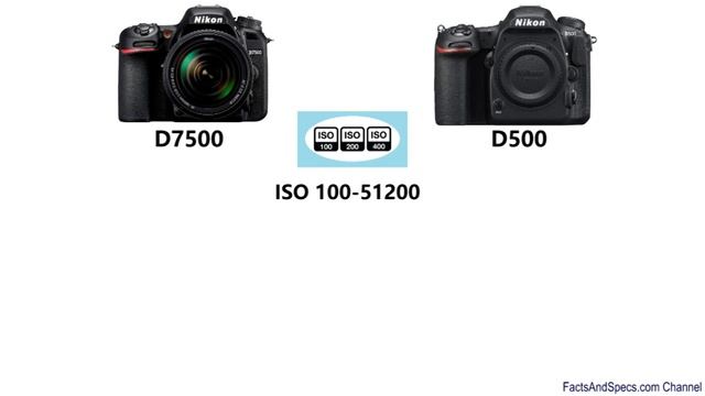 Nikon D7500 vs Nikon D500 смотреть онлайн