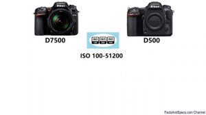 Nikon D7500 vs Nikon D500